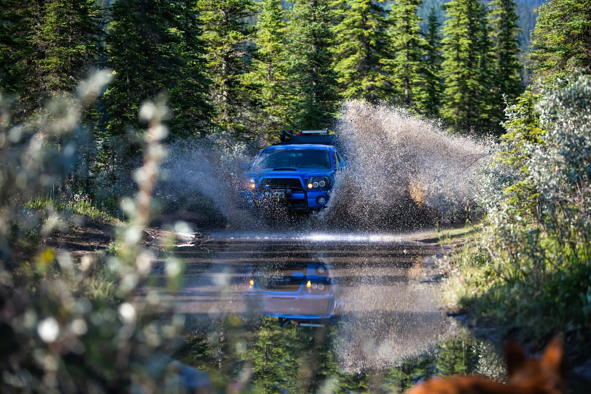 blue car on road during daytime