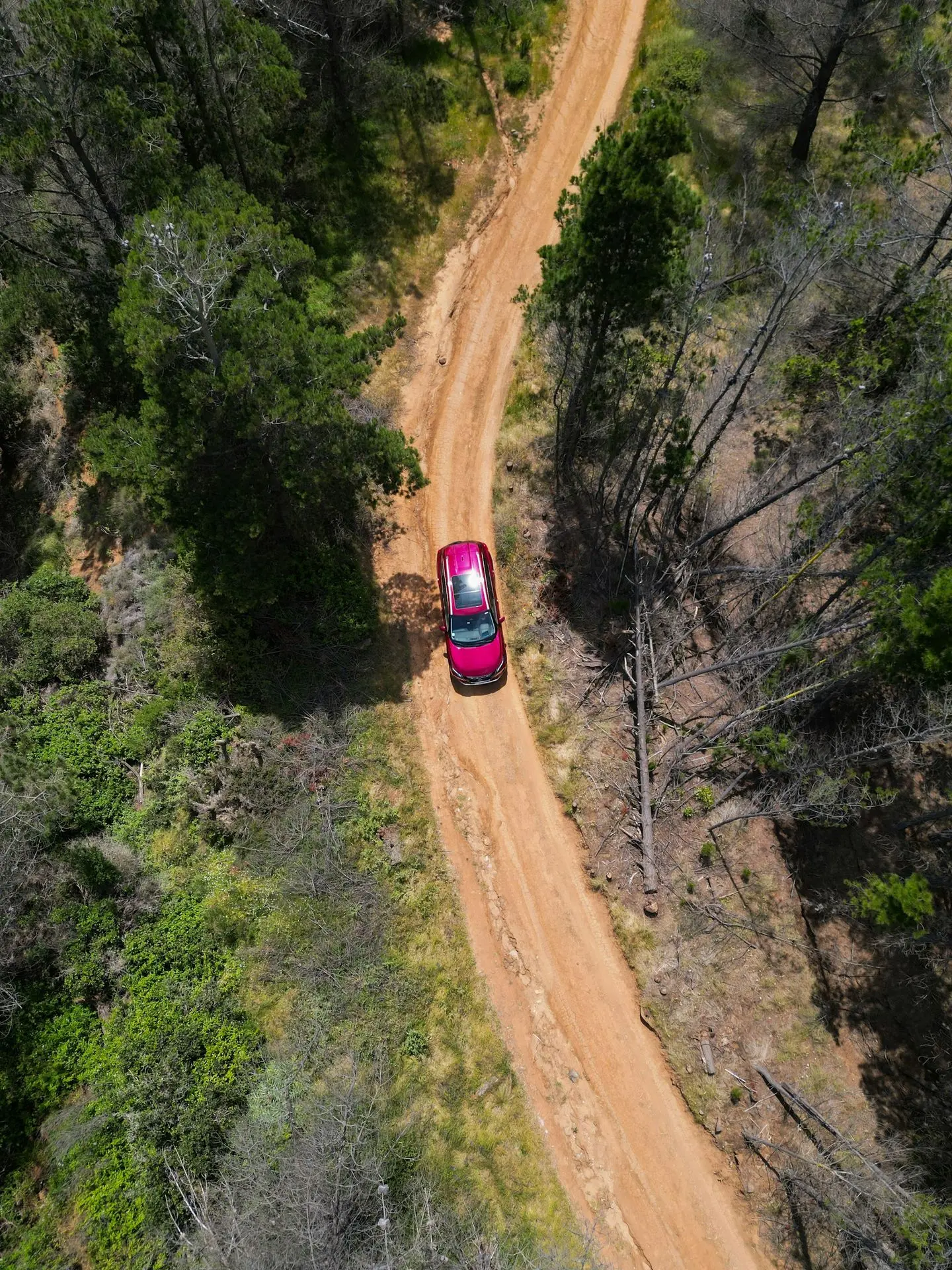 a car driving down a dirt road in the woods