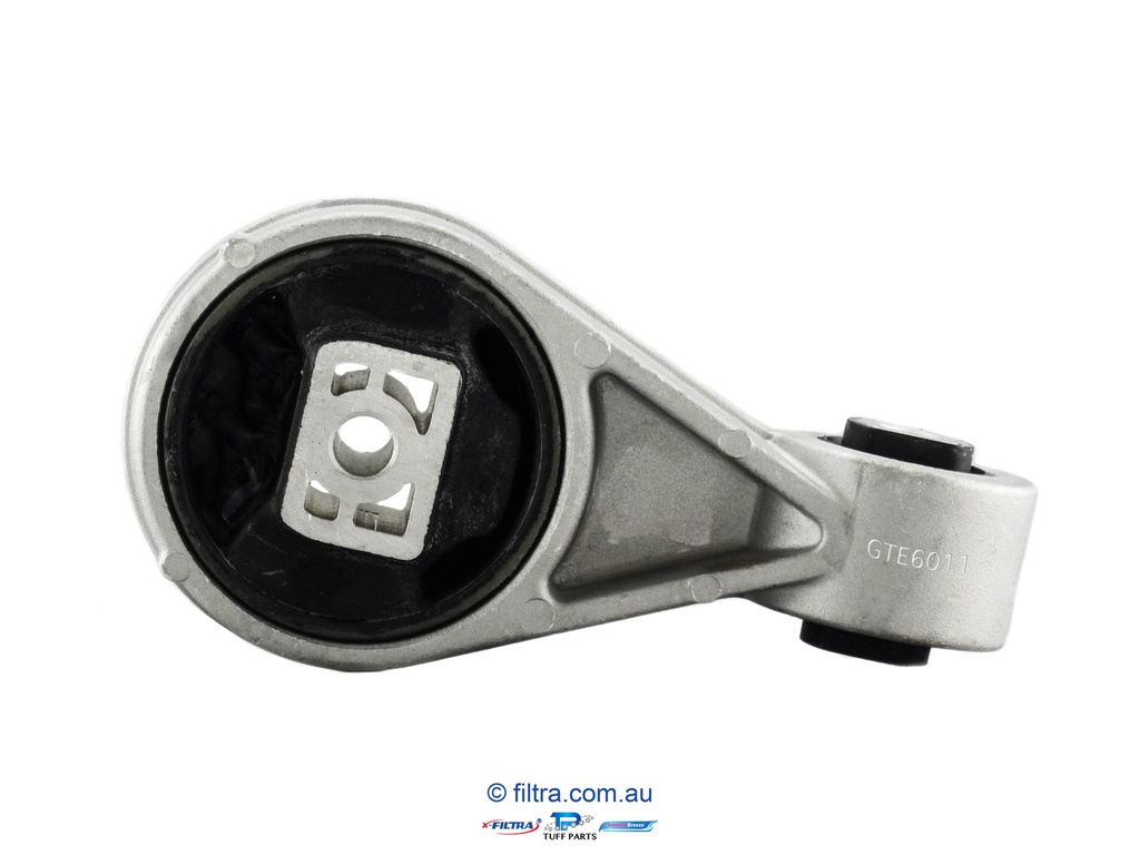 GTE6011 