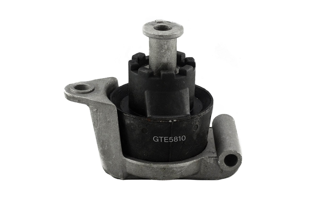 GTE5810