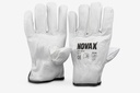 GXEVSL01-12