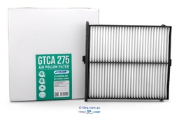 [GTCA275] GTCA275