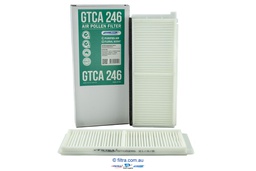 [GTCA246] GTCA246